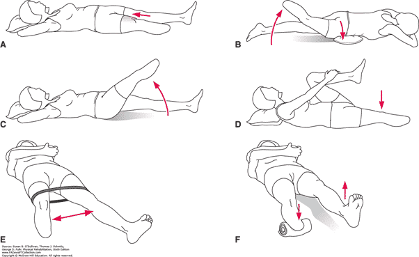 ตัดขาใต้เข่า